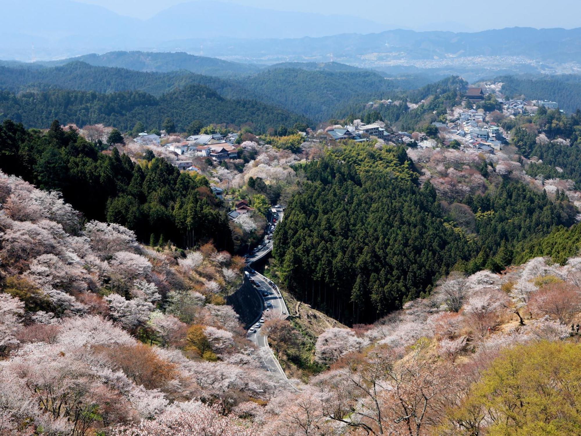 Grand Mercure Nara Kashihara ホテル 橿原市