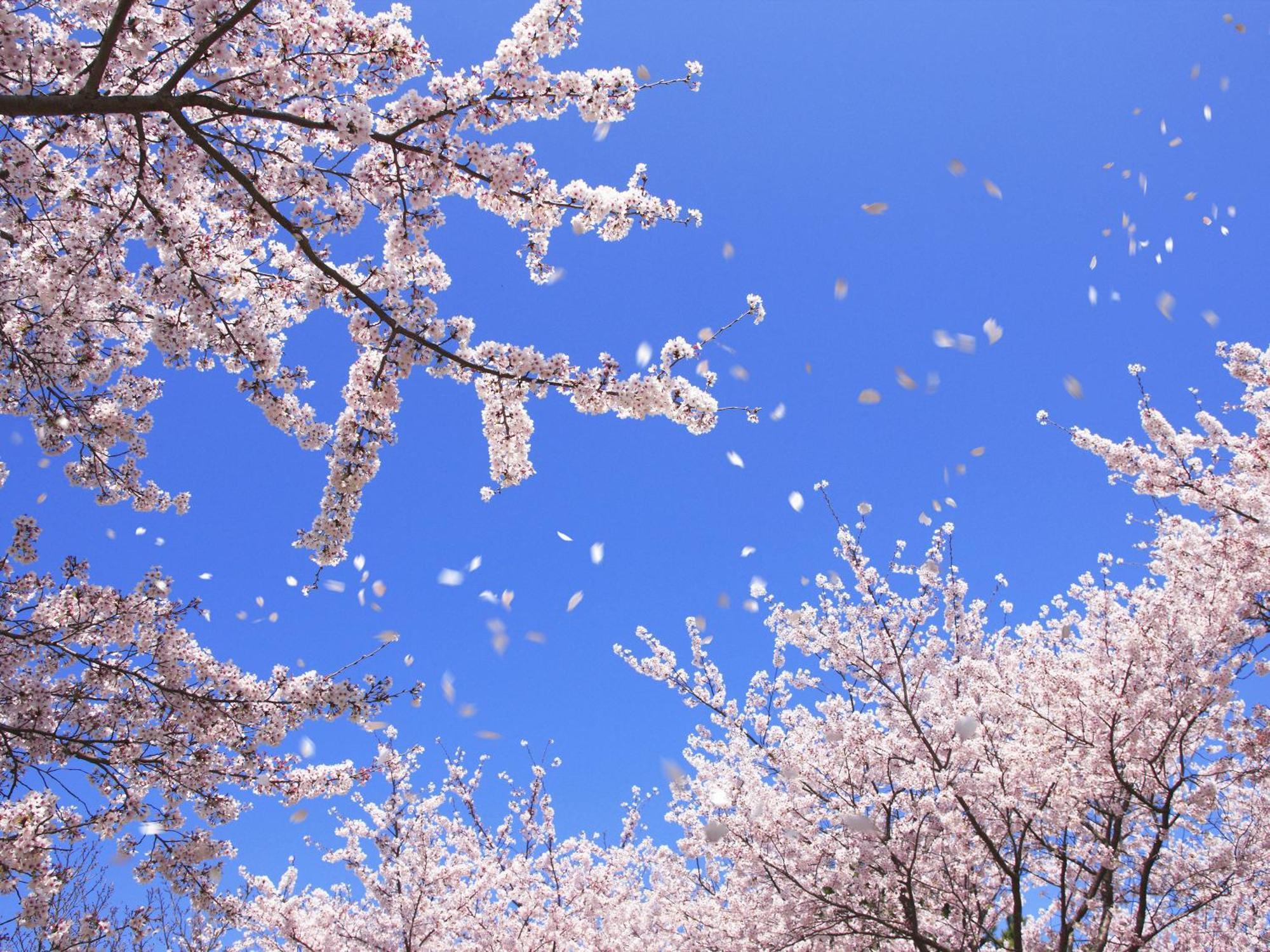 ホテル Grand Mercure Nara Kashihara